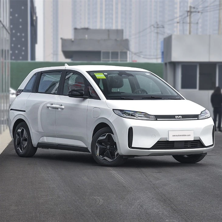 2022 Byd D1 EV Fwd MPV