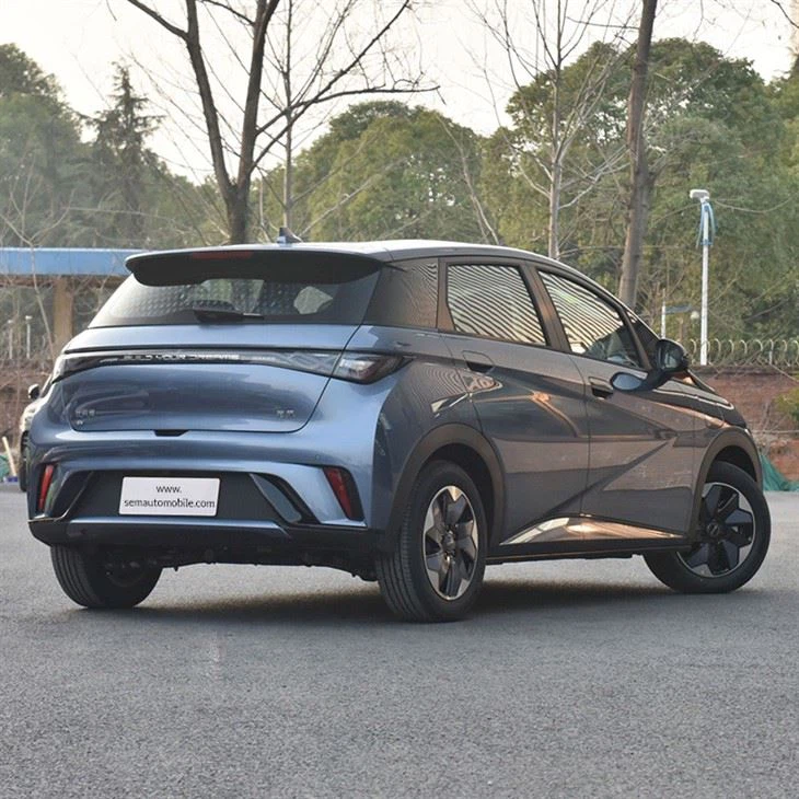 2024 BYD Dolphin  Minicar