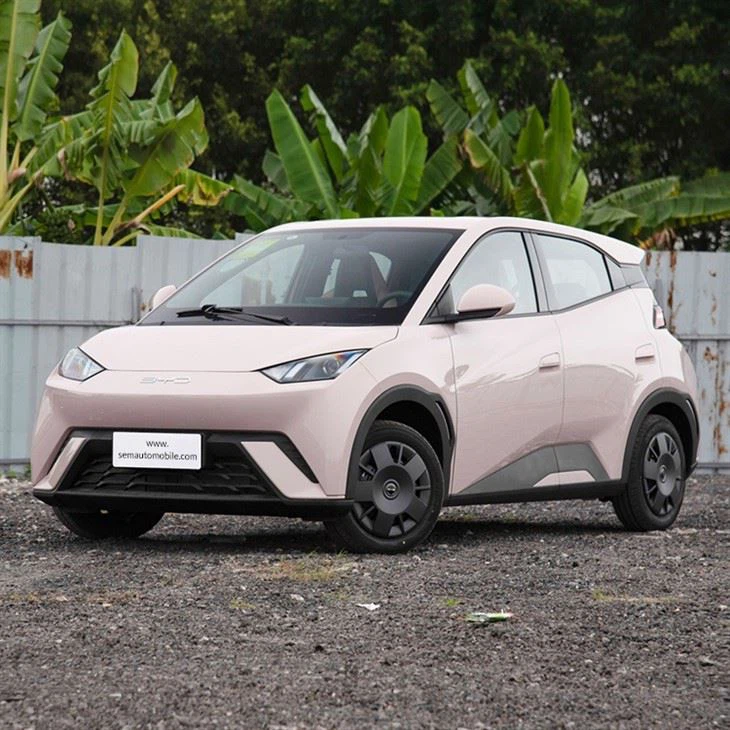 Byd small car discount