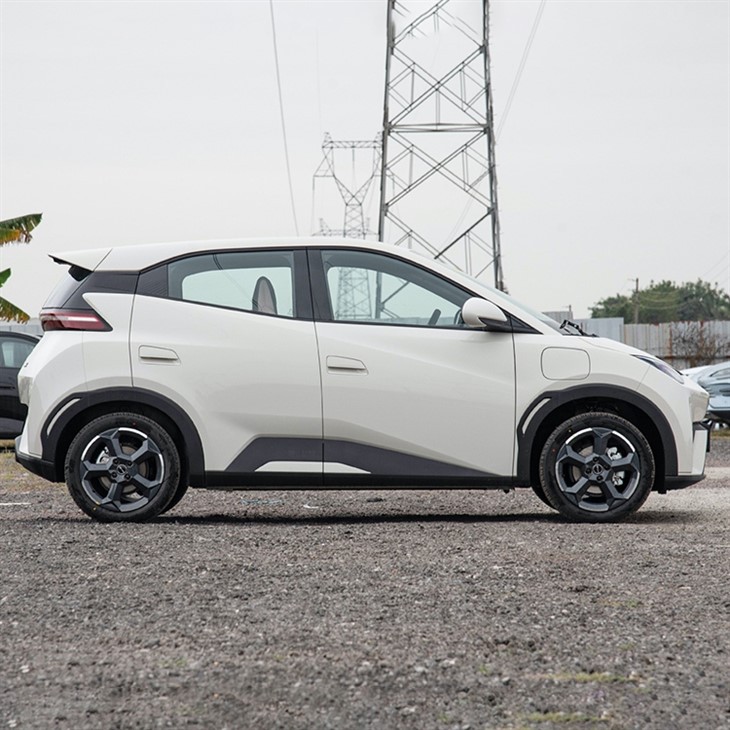 2024 BYD Seegull 305KM FREE