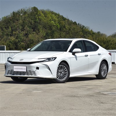 2024 GAC Toyota Camry Fuel Vehicles
