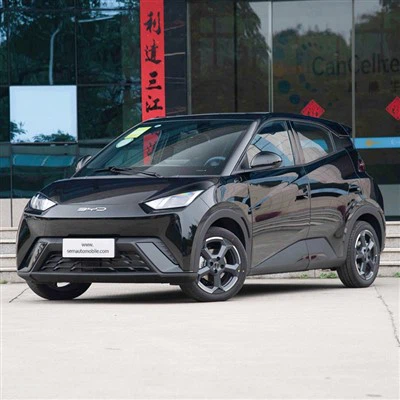 BYD Seagull Flying Edition