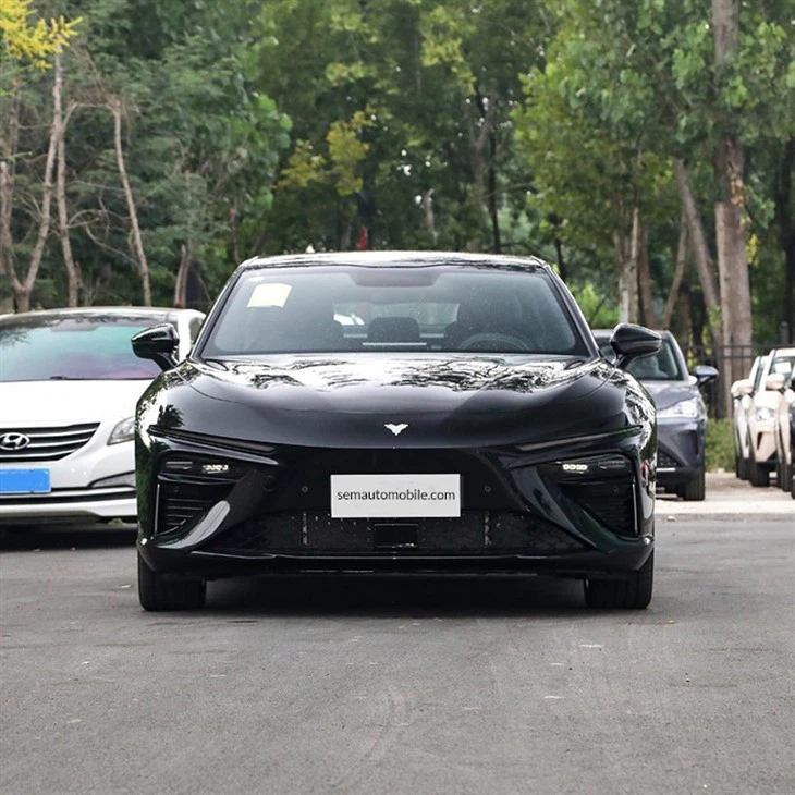 Neta S 2024 